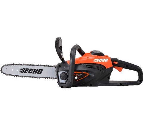 Echo DCS-310