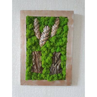 Mechový obraz se šiškami a kůrou 50cm x 30cm