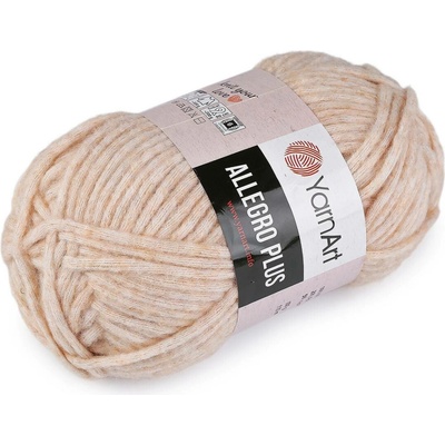 Pletací příze Allegro Plus 100 g Varianta: 2 (704) béžová světlá, Balení: 1 ks 61635/160048/286200