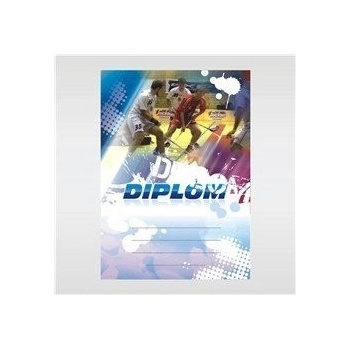 Diplom 6616