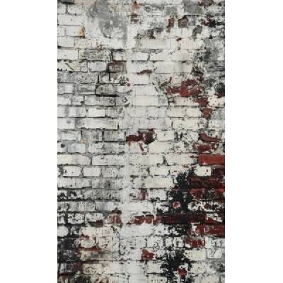Takoy Panel na závěs, fotoplátno 160x265 cm stará bílá cihla