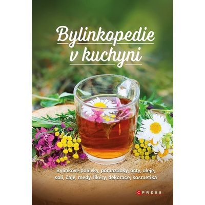 Bylinkopedie v kuchyni - Martin Chvapil