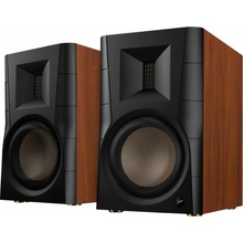Swan D300