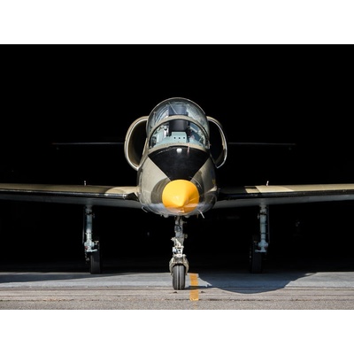 Let stíhačkou L-39 Albatros