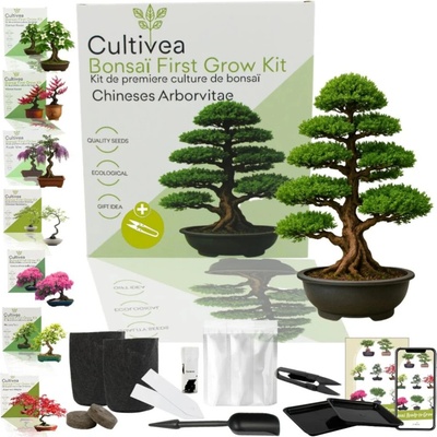 Cultivea Bonsai sada "Arborvitae“ - 1 sada