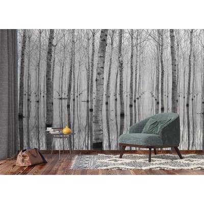 AG design FTNXXL-3004 vliesová fototapeta Birch Reflection rozměry 360 x 270 cm