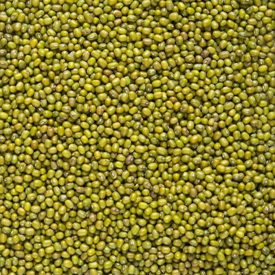 Country Life Fazole mungo 5 kg Bio