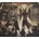 Syn - Drom - Iconoclasm DIGI CD