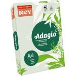 REY LIPAD48PZ