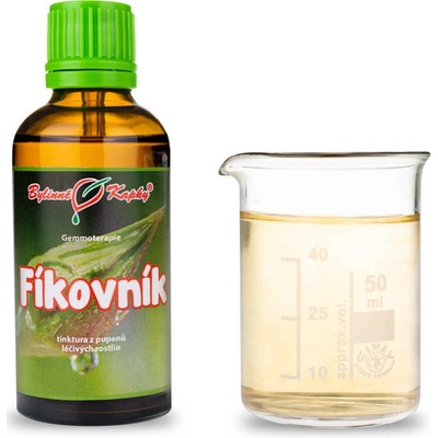 Fíkovník púčiky gemmoterapie 50 ml