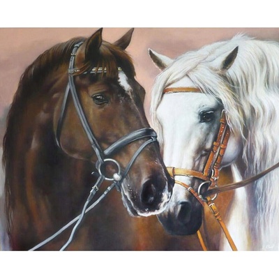 Norimpex diamantové maľovanie Portrét dvoch koní 30 x 40 cm