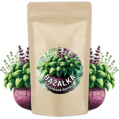 Naklíčeno Bylinková bomba - bazalka