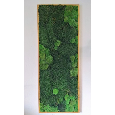 Machový obraz lesný mach+ kopčekový 130cm x 65cm