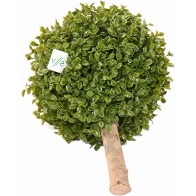 BUXUS KOULE STK, 22cm