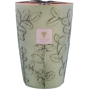 Baobab Collection Folia Maquis Ароматна свещ, 35 см (MAX35FMAQ)