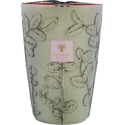 Baobab Collection Folia Maquis Ароматна свещ, 35 см (MAX35FMAQ)
