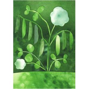 The Poster Club Постер 50x70 cm Peas in Bloom - Anna Ravn Bjørn - The Poster Club (17310-7)