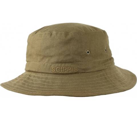 Scippis Forrest coyote