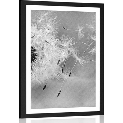 Plakát s paspartou kouzelná pampeliška v černobílém provedení - 40x60 no frame