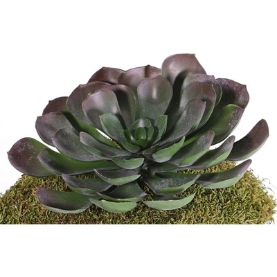 Aeonium XL umělý, ZELENOFIALOVÁ, Ø 24cm