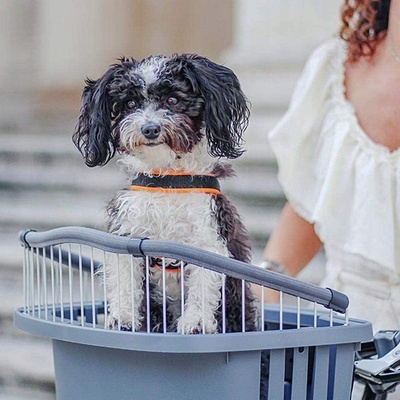 Ferplast Atlas bike 20 rapid