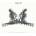dal:um: Coexistence LP