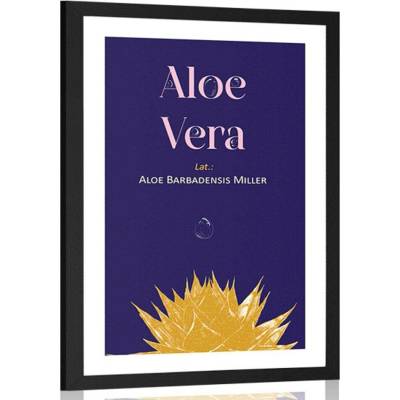 Plakát s paspartou a nápisem Aloe Vera - 30x45 no frame
