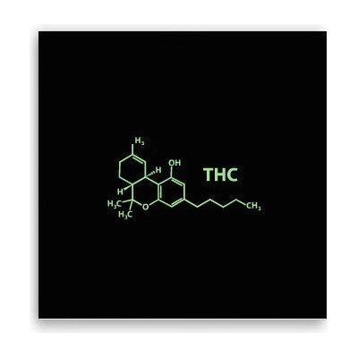 Fotoobraz 40x40 cm THC
