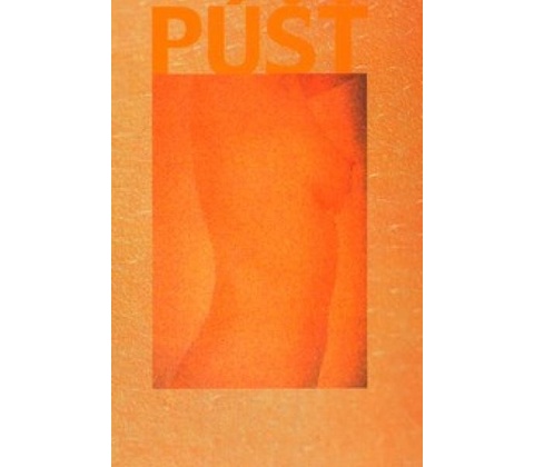 Púšť - Jaroslav Vlnka