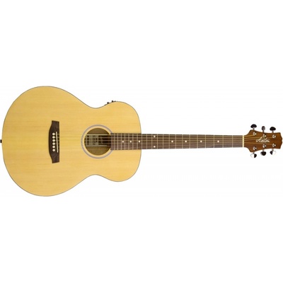 Ashton SL20EQ – Hledejceny.cz