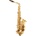 Bacio Instruments SA-01L