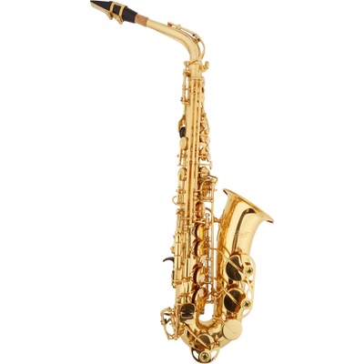 Bacio Instruments SA-01L