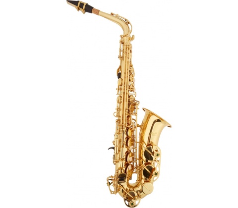 Bacio Instruments SA-01L