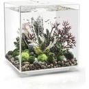 BiOrb Cube biele LED 60 l
