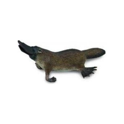 CollectA Dziobak australijski M