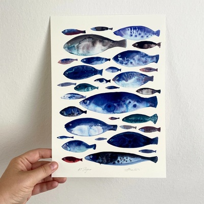 Grafika Stellion Hejno Velikost: A4