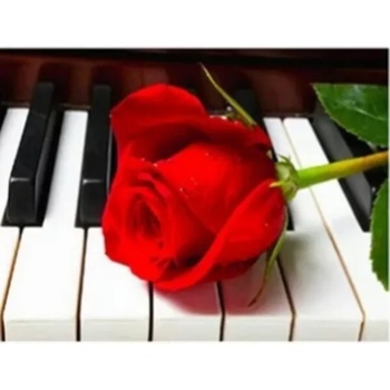 Image 1 of Червена роза и пиано 40/30 см