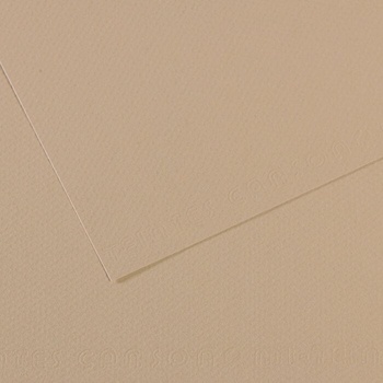 Canson Mi-Teintes 50x65 cm Gris Trianon 343 160 g Цветна хартия (C200321054)