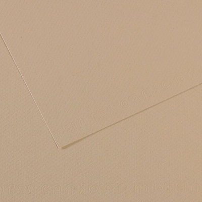 Canson Mi-Teintes 50x65 cm Gris Trianon 343 160 g Цветна хартия (C200321054)