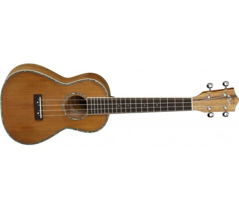Tanglewood TUJ3