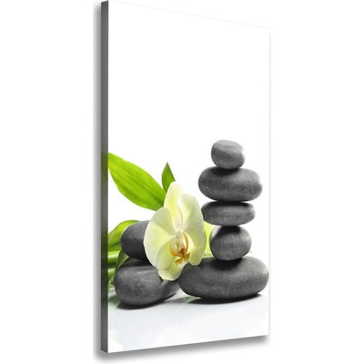Vertikálny foto obraz na plátne Orchidea a kamene 50x100 cm