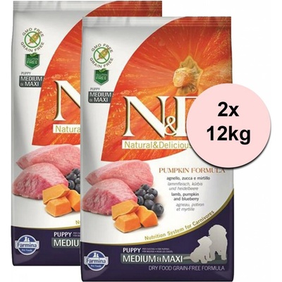 N&D dog GF PUMPKIN Adult Medium / Maxi lamb & blueberry 2 x 12 kg