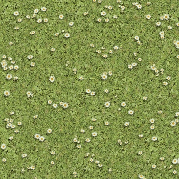 Beaulieu Playtec 2502 4 m 1 m²