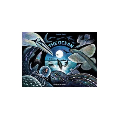 The Ocean at Night | Isabelle Simler