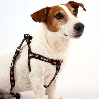 Pet Interest® Goget! Повод за кучета с неопренова дръжка в десен с рибката Немо