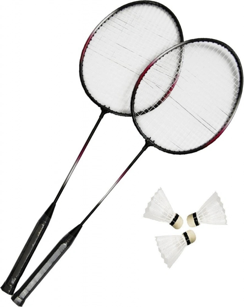 Master Fly 2