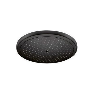 HansGrohe 26220670