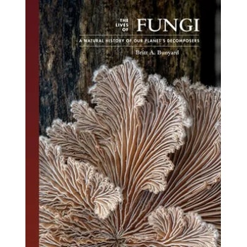 Image 1 of Lives of Fungi