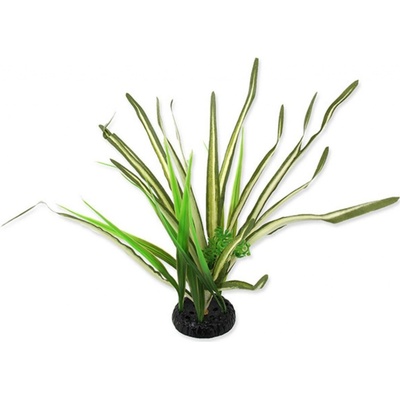 Repti Planet Spartina 30 cm – Zbozi.Blesk.cz