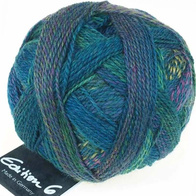 Schoppel Wolle Edition 6 2298 Waschtag